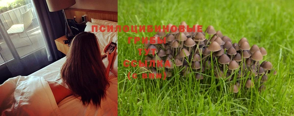 спиды Балабаново