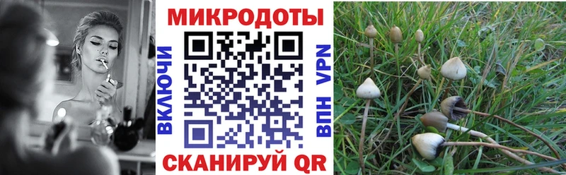 мега ТОР  Лесной  Псилоцибиновые грибы Cubensis 