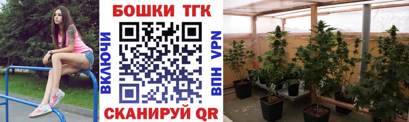 OMG ТОР  Лесной  Конопля SATIVA & INDICA  как найти  